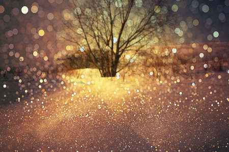 snowy background snow-covered tree in a distance.の写真素材
