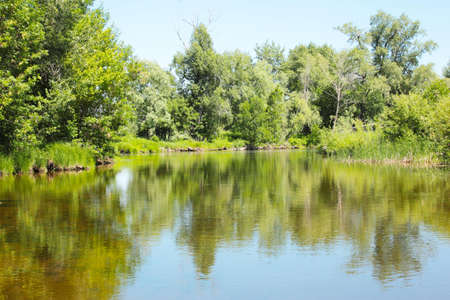 summer day on the river is a great place for fishing in the shade of green treesの写真素材