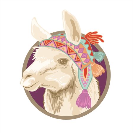 Alpaca cartoon realistic in vectorのイラスト素材