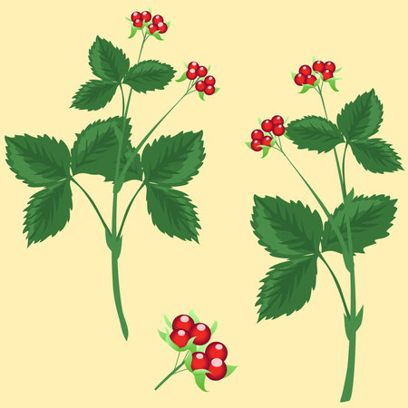 Berries and stone bramble berries on a branch with leaves on a yellow background, tasty, edible...