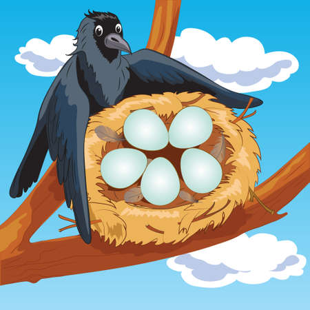 A crow sits in a nest with eggs on a branch against the sky. The clouds. Jackdaw.のイラスト素材