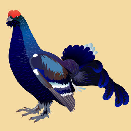 black grouse sitting on the ground on a yellow backgroundのイラスト素材