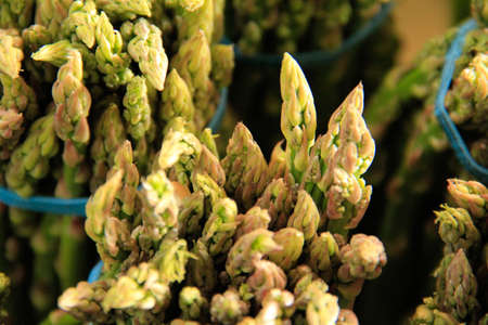 Asparagusの写真素材