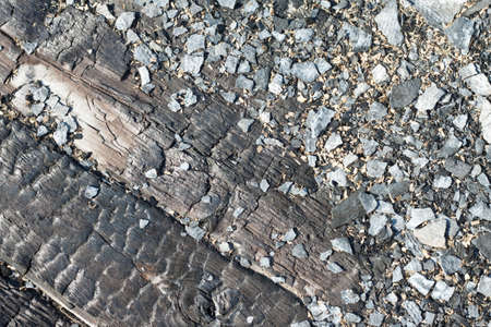 burned timber wall の写真素材