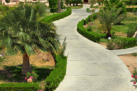 road in tropical gardenの写真素材