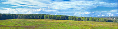 Panoramic landscape of sunny autumn forestの写真素材