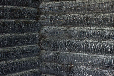 burned timber wallの写真素材