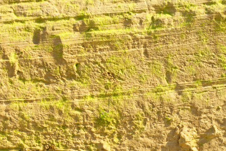 stone wall background