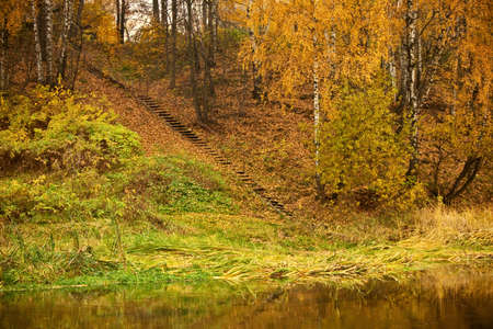 ladder on autumn riverbankの写真素材