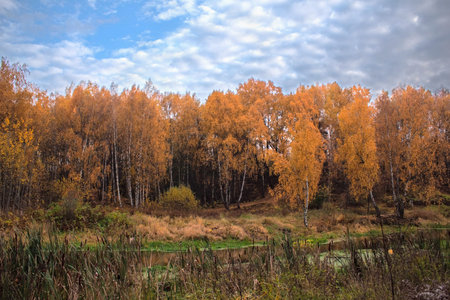 Mellow autumn on river bank