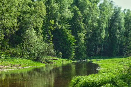 Beautiful river, summer landscape