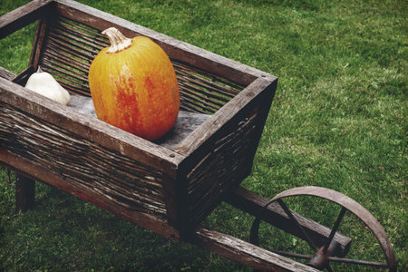 Old wooden cart with pumpkins. Retro aged photo.