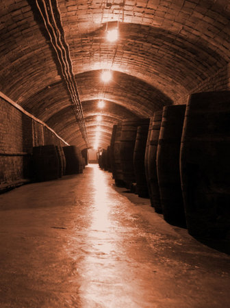 interior of a wine factory in spain
