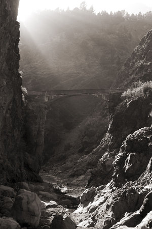 the light is at the end of the pathの写真素材