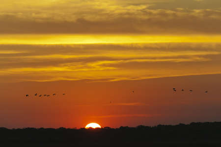 setting sun の写真素材
