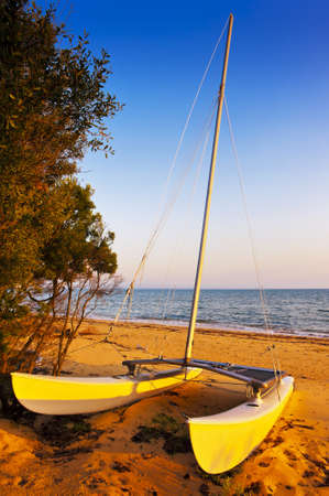 A yellow Catamaran pulled high up on the shore.の写真素材