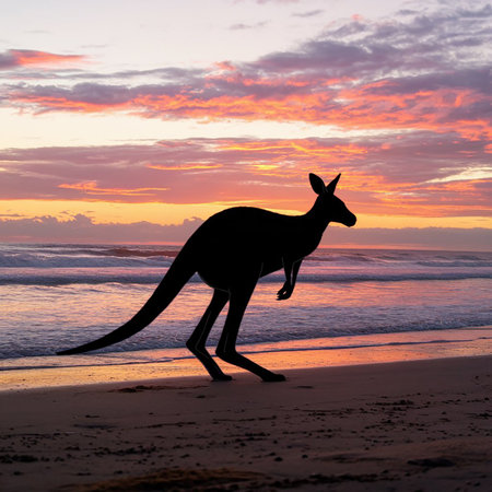 Kangaroo silhouette at sunset on the beach with colorful sky.の素材
