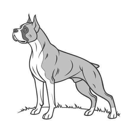 American Staffordshire Terrier dog standing on the grass. Vector illustration.のイラスト素材