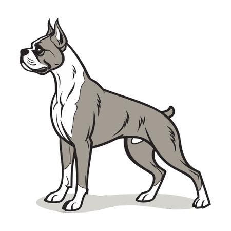 American Staffordshire Terrier. Vector illustration of a dog standing.のイラスト素材