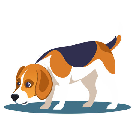 Beagle dog isolated on white background. Vector illustration in flat style.のイラスト素材