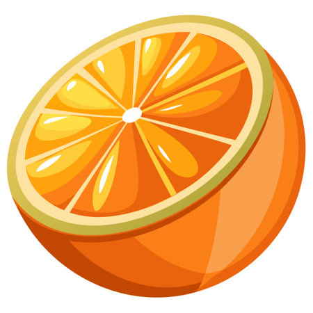 Orange fruit isolated on white background. Vector illustration. Eps 10.のイラスト素材