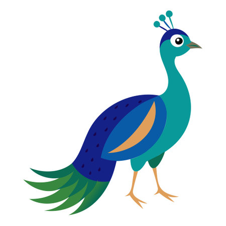 Peacock isolated on white background. Vector illustration in flat style.のイラスト素材