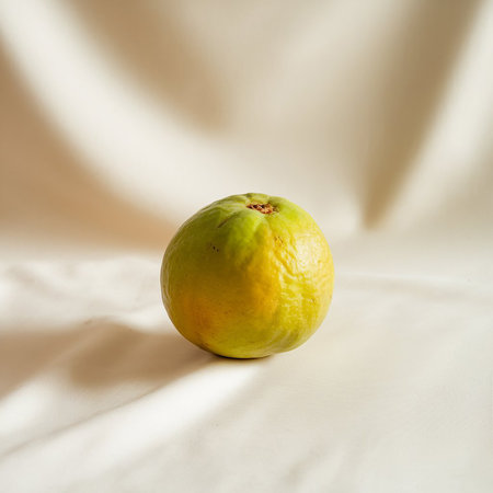 Fresh guava on the white fabric background. Healthy food concept.の素材
