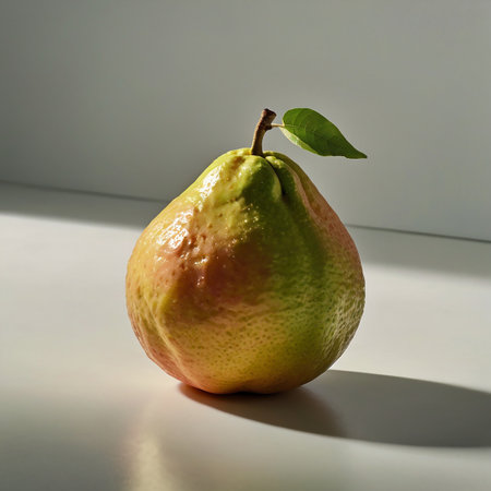 pear with leaf on a white background, studio lighting, verticalの素材