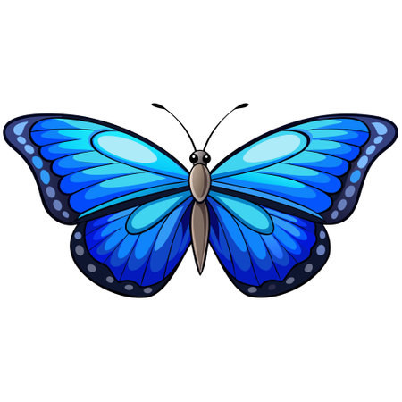 Blue butterfly isolated on white background. Vector illustration for your design.のイラスト素材