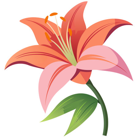 Illustration of a Lily Flower on a White Background with Gradient Meshのイラスト素材
