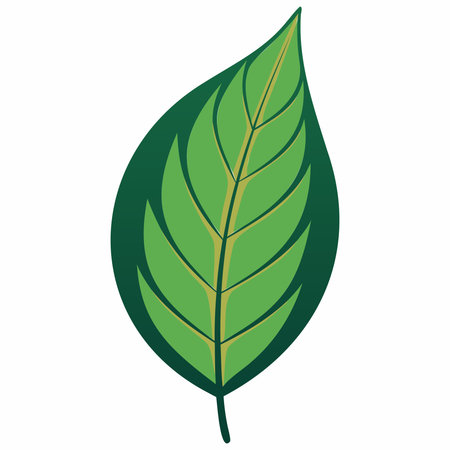 ecology leaf plant icon vector illustration graphic design vector illustration graphic designのイラスト素材