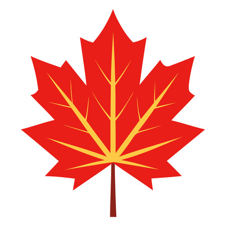 Maple leaf icon. Flat illustration of maple leaf icon for web designのイラスト素材