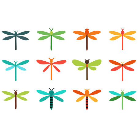 Dragonfly icon set. Vector illustration isolated on a white background.のイラスト素材
