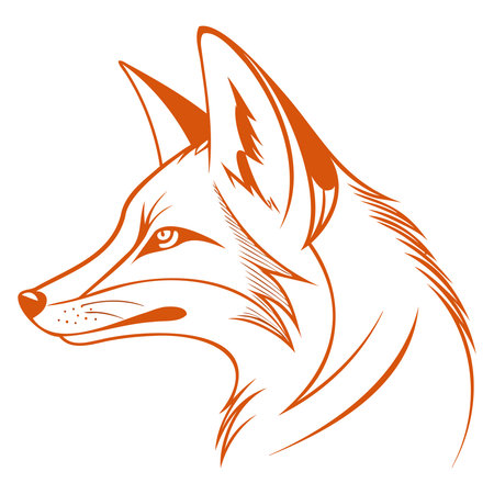 Vector image of a red fox head isolated on a white background.のイラスト素材