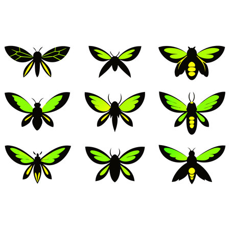 Butterfly icon set. Vector illustration isolated on white background.のイラスト素材