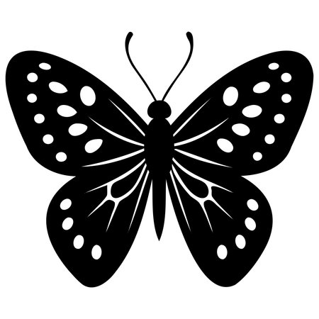 Butterfly black silhouette isolated on white background. Vector illustration.のイラスト素材