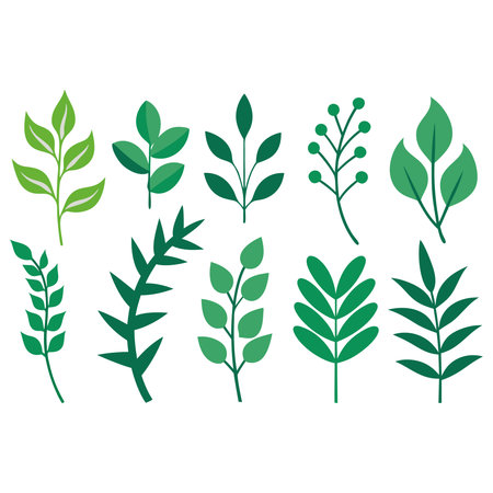 Set of green leaves. Vector illustration isolated on a white background.のイラスト素材