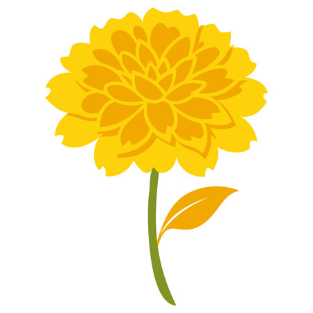 cute flower carden isolated icon vector illustration designicon vector illustration designのイラスト素材