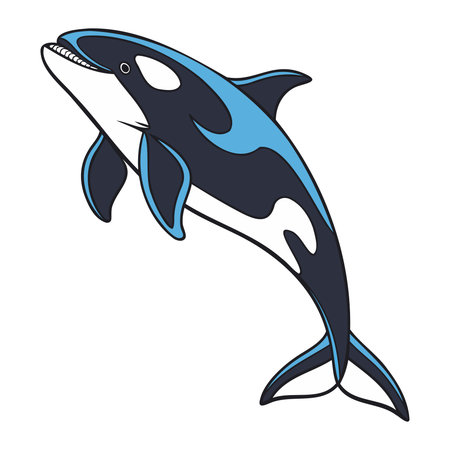 Cartoon killer whale icon. Sea life ecosystem fauna and ocean theme. Isolated design. Vector...