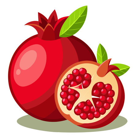 Ripe pomegranate isolated on white background. Vector illustration.のイラスト素材