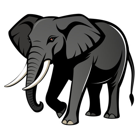 Elephant on a white background, vector illustration, eps10のイラスト素材