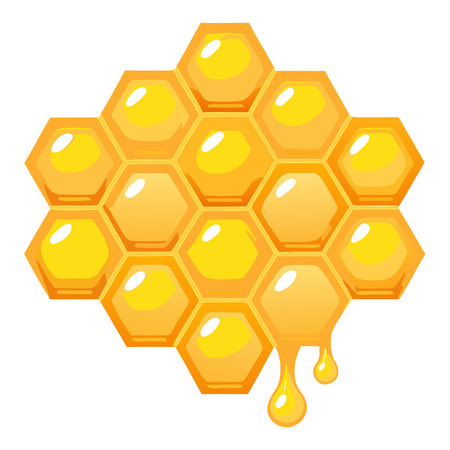 Honeycomb with honey icon. Cartoon illustration of honeycomb with honey vector icon for webのイラスト素材