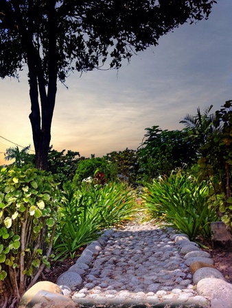 The straight pathの素材