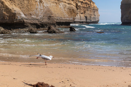 Loch Ard Gorge, Victoria, Australia, The great ocean roadの写真素材