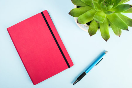 Green plant, red notebook, pen close up on blue background. Blog concept and idea