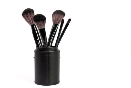 Professional makeup brush isolated on white background and space for text
