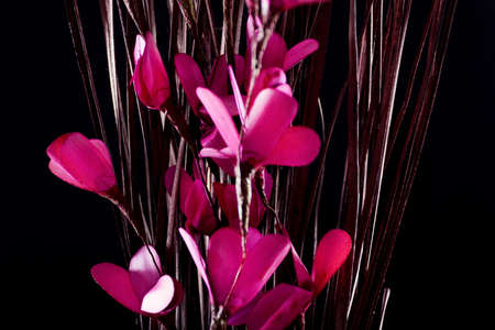 Decorative branches with purple flowers isolated on black background. Close up, selective focusの写真素材