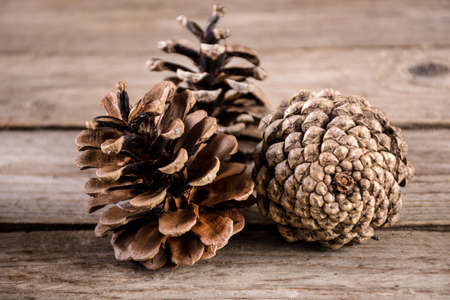 Pine cone on rustic retro wooden background plank. Nature and autumn concept. Close up, selective focusの写真素材