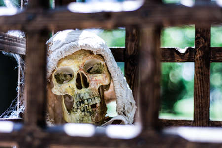 Scary old human skeleton in a wooden cage in torn clothes and blurred green background on sunny day outdoor. A medieval prisoner suffered from torture in prison. Close up, selective focusの写真素材