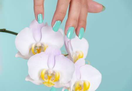 Girl hand with a turquoise color manicure on nails and light lilac orchids flower isolated on soft blue background in studio. Manicure and beauty concept. Close up, selective focusの写真素材